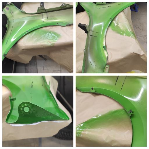 Кромка передних крыльев Кромка передних крыльев