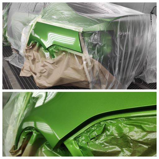 Окрас левого крыла Окрас левого крыла