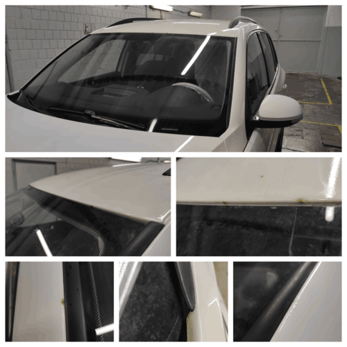 Осмотр лобовое