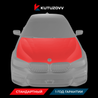 Покраска капота BMW 5 SERIES
