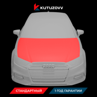 Покраска капота Audi TT