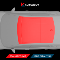 Покраска крыши Audi TT